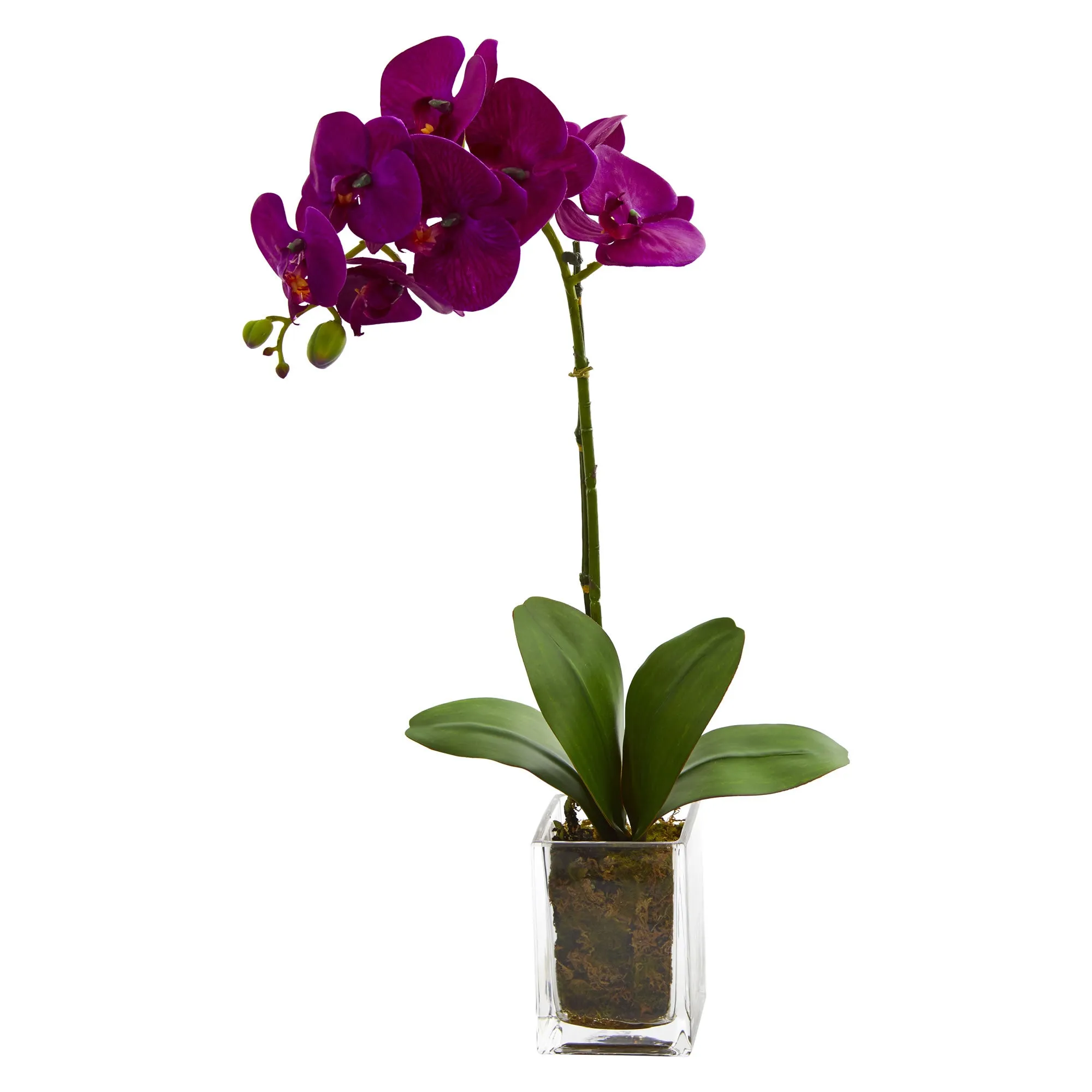 24" Artificial Orchid Phalaenopsis Arrangement in Vase - Low Maintenance, Life-Like & Vibrant Silk Flowers For Busy People.