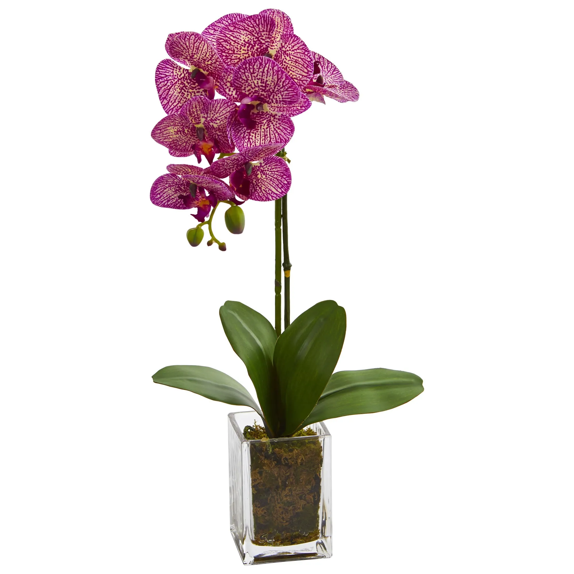 24" Artificial Orchid Phalaenopsis Arrangement in Vase - Low Maintenance, Life-Like & Vibrant Silk Flowers For Busy People.