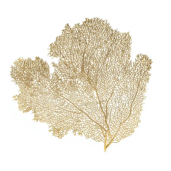 Placemat For Dining Table Large: Coral Leaf - Mat Gold & silver